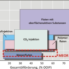 Kosten EOR