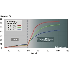 Imbibition test with oil saturated core under high pressure