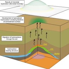 Hydrocarbon transportation processes