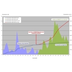 Additional oil production by MEOR