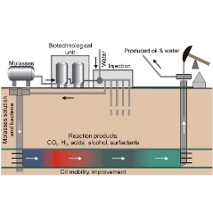 Process diagram