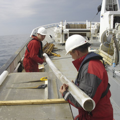 Liner mit Sedimentprobe